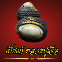 ราคา เบี้ยแก้ หลวงปู่เจือ ปิยะสีโล วัดกลางบางแก้ว จังหวัดนครปฐม เบี้ยแก้ปิดทองลงรักดำ 2ห่วง (16545449477)