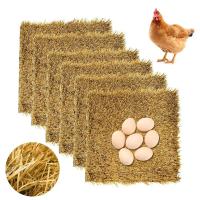 ราคา 6pcs Coconut Fiber Chicken Nesting Pad Washable Artificial Grass Nest Box for Egg Laying HensChicken Nest Mat 30x30cm (126198176389)