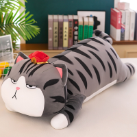 ราคา Damaiii ตุ๊กตาแมวอ้วน แมวหน้ามึน เจ้าเหมียวหน้ามึน หมอนตุ๊กตาแมว My Royal Wan 100cm แมวจักรพรรดิ ตุ๊กตาตัวใหญ่ (24939460385)