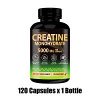 ราคา Omilay Creatine ครีเอทีน Creatine Monohydrate Capsules Creatine Supplement Capsule สําหรับผู้หญิงและผู้ชาย 5g ของ Creatine Monohydrate ต่อเสิร์ฟ เล่นกล้าม 120 แคปซูล (126225731039)