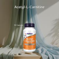ราคา ของแท้ Now Foods Acetyl L Carnitine 500 mg 50 Veg Capsules l อะซิทิล แอล คาร์นิทีน 50 แคปซูลพืช (25828546010)