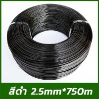 ราคา ลวดพลาสติก PET ขนาด 2 5 3 0 มม งานเกษตร ลวดดัดบอนไซ ใช้รัดต้นไม้ กันสนิม ลวดเคือบพลาสติก ลวดยกม้วน (126712305440)