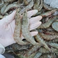 ราคา พร้อมส่ง กุ้งขาวสดไซส์ S M L บรรจุแพ็คละ 1 กิโลกรัม สดคัดเกรด รับประกันความสด PPN Seafood Wishing (11109046734)