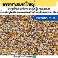 ราคา 20 KG อาหารนกเขาใหญ่ เขาชวา เขาแขก นกพิราบ (25267367704)