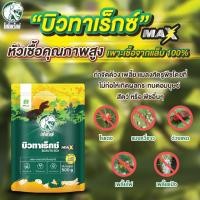 ราคา เชื้อราบิวเวอร์เรีย เชื้อราเมธาไรเซียม บิวทาเร็กซ์ เพาะเชื้อจากห้อง LAB พร้อมใช้ ปลอดภัย 100 (19639484639)
