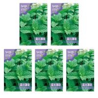 ราคา ซื้อ 5 แถม 5 ฟรี 1000 เมล็ด เมล็ดพันธุ์ สะระแหน่ สาระแหน่ เมล็ดเปปเปอร์มิ้น เปเปอร์มิ้น สาระแหน่ไทยใบหอม สมุนไพรฝรั่ง เครื่องเทศฝรั่ง เมล็ดผัก (25247396653)