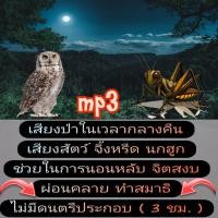ราคา พรเทวะ แฟลชไดร์ฟ USb Mp3 เสียงป่าในเวลากลางคืน เสียงสัตว์ จิ้งหรีด นกฮูก ช่วยในการนอนหลับ จิตสงบ ผ่อนคลาย ทำสมาธิ ไม่มีดนตรีประกอบ 3 ชม ใช้กับเครื่องเล่น USB mp3 ทุกชนิดหรือเปิดฟังในรถยนต์เปิดในคอมพิ 