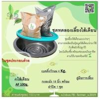 ราคา ชุดทดลองเลี้ยง ชุดเลี้ยงไส้เดือน af ชุดผลิตมูลไส้เดือน ไส้เดือน af ชุดทดลองผลิตปุ๋ยมูลไส้เดือน แบบมืออาชีพ ครบ เป็นset แบบง่าย (5654884150)