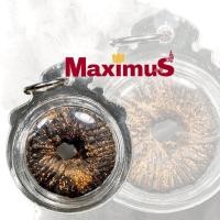 ราคา ตะกรุด พิสมร หลวงพ่อแก้ว วัดพวงมาลัย เนื้อผงใบลาน ถักเชือก เลี่ยมกันน้ำอย่างดี (25619344650)