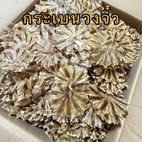 ราคา ปลากระเบนวงจิ๋ว ปลาวงจิ๋ว หนัก 250 กรัม เค็มน้อย (126619131911)