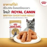 ราคา Royal canin อาหารเปียกแมว โรยัล คานิน เพาซ์ อาหารแมว โหล 12 ซอง (26299848954)