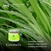 ราคา Smell Lemongrass Citronella Mosquito Repellent Soy Wax Candle เทียนหอมไล่ยุงกลิ่นตะไคร้หอม (26299864106)