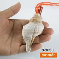 ราคา นกหวีดเปลือกหอยสังข์จากธรรมชาติ (126491831563)