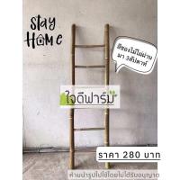 ราคา บันไดไม้ไผ่ ค้างไม้เลื้อย บันไดพาดผ้าไม้ไผ่อเนกประสงค์ ขนาด 120x32ซม ห้ามปีนค่ะ (8957572702)