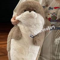 ราคา JIFANPAUL ตุ๊กตาหมอนแมวน้ำนุ่มและน่ารัก (25218103709)