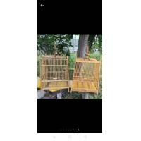 ราคา กรงนกไม้ กรงนกหัวจุก 15ซี่ 17ซี่ พร้อมหัวห้อยลายไทย (9129683535)