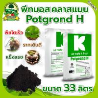 ราคา พีทมอส ดินเพาะ คลาสแมน 70ลิตร ยกกระสอบ ดินเพาะกล้า สินค้านำเข้าจากเยอรมัน ลิทัวเนีย (23276246328)