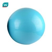 ราคา Watsons วัตสันลูกบอลสำหรับออกกำลังกาย ขนาด 65ซม พร้อมที่สูบลม (192007942)