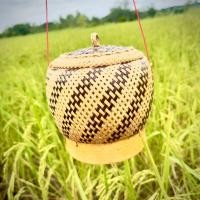 ราคา กระติบข้าวเหนียว กระติบข้าวทรงฟักทอง กระติบข้าวทรงอ้วน กระติบข้าวเย็บหวาย (25630440475)