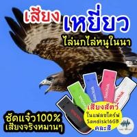 ราคา เสียงเหยี่ยว เมม แฟลชไดร์ฟเสียงเหยี่ยว สำหรับไล่นกไล่หนูในบ้านในนา มีเก็บเงินปลายทาง เสียงจริง 100 ไม่มีโฆษณาแทรก MP3 เสียงต่อสัตว์ (8023024073)