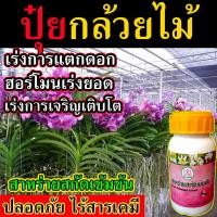 ราคา ชุดปุ๋ยบำรุงกล้วยไม้ ปุ๋ยกล้วยไม้ เพิ่มช่อ ขยายช่อดอก ขนาด 290 cc ใช้ได้กับไม้ดอกทุกชนิด ไม้ผล พืชต่างๆ ปุ๋ยบำรุงดอก ปุ๋ยบำรุงดิน ปุ๋ยบำรุงใบ (19771927918)