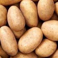 ราคา มันฝรั่ง มันฝรั่งสด มันฝรั่งนำเข้า มันฝรั่งจีน มันบี สินค้าสดใหม่ (23397853312)