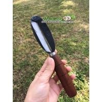 ราคา มีดผิวปอกขาวมะพร้าว กินเนื้อผิวบาง (14038064877)