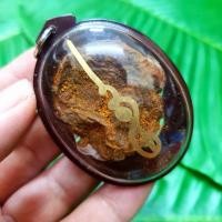 ราคา รกแมวมหาลาภ ทาขมิ้นเลี่ยมกันน้ำอย่างดี ผ่านพิธีปลุกเสกตามตำรา มีไว้บูชาจะเด่นทางด้านเมตตาค้าขายโชคลาภและเสี่ยงโชค (22406355453)