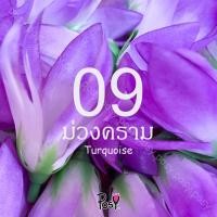 ราคา ดอกจำปีจำปาผ้า จำปีจำปาปลอม หัวดอกจำปีจำปาปลอมร้อยมาลัย Artificial Fabric Champaca มีรูสำหรับร้อยเข็ม เริ่ม 39 บาท ส่งไว (24710409873)