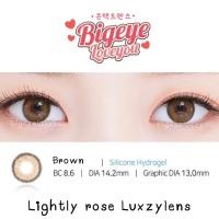 ราคา คอนแทคเลนส์ Lightly Rose Almond brown Brown Gray Luxzylens ขนาดมินิ รุ่นยอดฮิตในเกาหลี (19563717041)