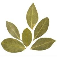 ราคา ใบเบย์ BAY LEAF ใบเบย์ลีฟ ใบกระวาน นอก สมุนไพรอบแห้ง แบบเป็นชิ้น 200 กรัม (26156459194)