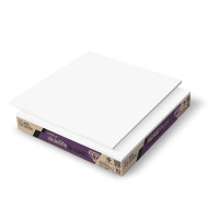 ราคา SCG แผ่นฝ้าทีบาร์ แบ่งขาย1แผ่น ตรา หยาดเพชร เปเปอร์ทัชไอออน สีขาวล้วน ขนาด60x60x0 8cm ยิปซั่มตราช้าง (25605733742)