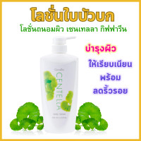 ราคา โลชั่น ใบบัวบก กิฟฟารีน CENTELLA BODY LOTION GIFFARINE (23348320769)