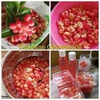 ราคา มะม่วงหาวมะนาวโห่แช่อิ่ม (24609138457)