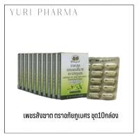 ราคา ยาแคปซูลผสมเพชรสังฆาต ตราอภัยภูเบศร ขนาดบรรจุ 10 แคปซูล แผง 10 แผง (21486662369)