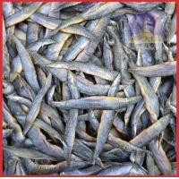 ราคา ปลาหลด ปลาแห้ง ปลาหลดแดดเดียว ปลาแดดเดียว (23805660099)