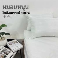 ราคา หมอนลายริ้ว หมอนหนุนใยสังเคราะห์100 ป้องกันไรฝุ่น (25317251162)