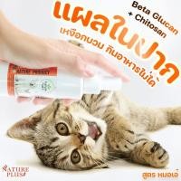 ราคา ผลิตภัณฑ์รักษาแผลในช่องปาก ปากอักเสบ ป่วยบ่อย ป่วยเรื้อรัง ต้องลอง วิตามินเสริมภูมิคุ้มกัน NaturePlus สำหรับหมาแมวและสัตว์เลี้ยงอื่นๆ (17447800783)