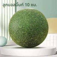 ราคา VOA ของเล่นสำหรับกัดแทะสัตว์เลี้ยง กระต่ายแคระ หนูแกสบี้ และเพตาวริสตา (25194385967)