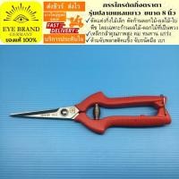 ราคา EYE BRAND กรรไกรตัดกิ่งตราตา รุ่นปลายแหลมยาว ขนาด 8 นิ้ว กรรไกรตัดแต่งกิ่งไม้ Pruning Shear กรรไกรตัดกิ่ง (7699307514)