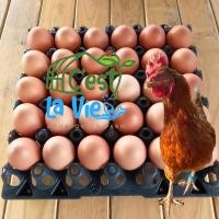 ราคา ไข่ไก่ปล่อยอิสระ Free Range Eggs ปลอดสาร สดใหม่จากฟาร์ม อร่อยไข่แดงมันนัว 30ฟอง 30 eggs size L XL Mixed คละไซส์เบอร์ 1 0 น้ำหนัก ฟอง 65 71 g (25761265811)