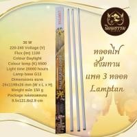 ราคา ชุดหลอดไฟฟลูออเรสเซนต์ถวายสังฆทานจัดชุด 3 แพ็ค หลอดไฟยาว สังฆทาน ยี่ห้อ Lamptan (24777793170)