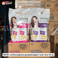 ราคา PANTENE แพ็คสุดคุ้ม 1 1 แพนทีน แชมพู แชมพู แชมพู ครีมนวด 380 มล PANTENE SHAMPOO HAIR FALL CONDITIONER 380ML Shampoo Shampoo Shampoo Conditioner (23999448191)
