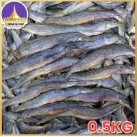 ราคา ปลาหลด 500 0 5 kg ปลาแห้ง ปลาหลดแดดเดียว ปลาแดดเดียว (23805341715)