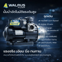 ราคา ปั๊มน้ำอัตโนมัติ ปั๊มออโต้ เสียงเงียบ ใบพัด Stainless 200 800 วัตต์ Automatic Booster Pump Summer TQ Series รุ่น TQ 200 TQ 400 TQ 800 (126949017061)