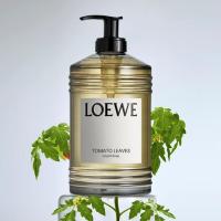 ราคา สบู่เหลวอาบน้ำ liquid soap 360ml กลิ่น Liquorice Tomato Leaves Oregano ให้ความชุ่มชื้นและกลิ่นหอมสดชื่น (25387322812)