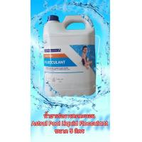 ราคา น้ำยาเร่งการตกตะกอนและปรับน้ำใส Astral Pool Liquid Flocculant Astral Pool Solution Flocculant 5 ลิตร (23427828345)