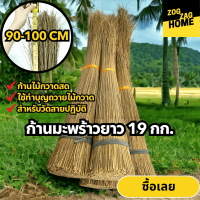 ราคา 19 กก ความยาว 90 100 ซม ก้านมะพร้าวทำไม้กวาด ไม้กวาดก้านมะพร้าว ก้านยาว ทำไม้กวาดตาด สำหรับสำนักงานราชการ จัดส่งวันถัดไปทันที Zogzaghome (20907669816)