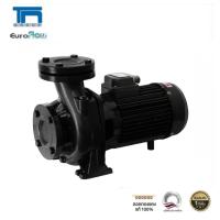 ราคา ปั๊มน้ำหอยโข่ง EUROFLOW รุ่น WSF300 3 3HP Black ท่อเข้า ออก 3 นิ้ว 3 แรงม้า (26070352188)