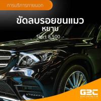 ราคา บริการขัดลบรอยขนแมว หยาบ รอบคัน
